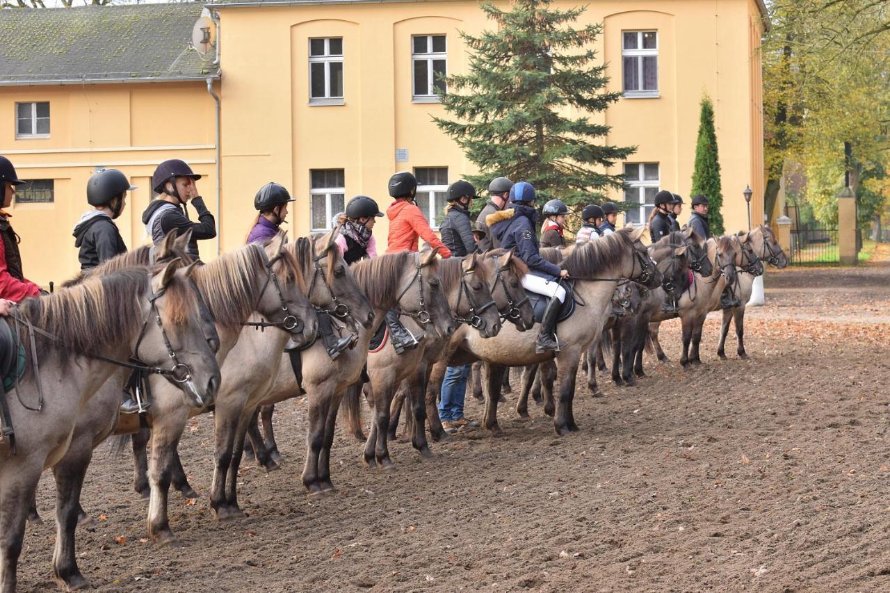 Stado Ogierow Sierakow Hotel Шераков Екстериор снимка